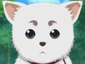 Ane And Mone S Family 阿音 百音 Gintama Wiki Fandom