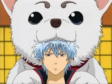 Sadaharu bites Sakata Gintoki