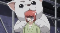Sadaharu bitting Kagura's head in Episode 327