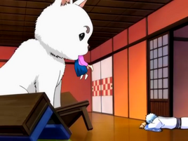 Gintama Episode 45