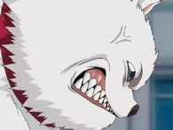Sadaharu growling