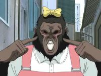 Kondou in gorilla form in Kabukicho Stray Cat Arc