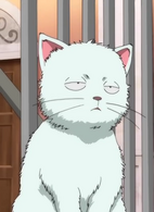 Gintoki as a Cat