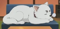 Sadaharu sleeping in Episode 173