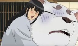 katsura gintama