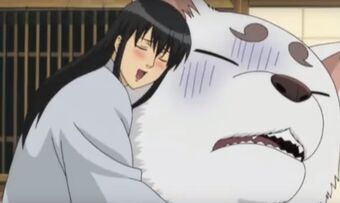 Katsura Kotarou Gintama Wiki Fandom