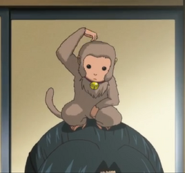 Episode221photo