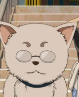 Sadaharu as Sadahachi in Kintama Arc