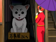 Kagura's first encounter with Sadaharu in Episode 10