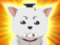 Genius Sadaharu