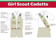 Eating for Beauty Badge  Girl scouts cadettes, Cadette girl scout