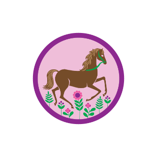 Download Horseback Riding Junior Badge Girl Guides Wiki Fandom