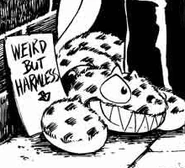 At the feet of the storyteller ✣