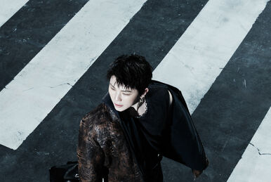 K-POP・アジア zzz ZZZ | International Idols Wiki | Fandom