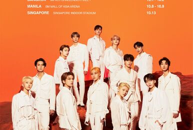 SEVENTEEN TOUR 'FOLLOW' | Seventeen Wiki | Fandom