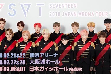 17 Japan Concert 'Say the name SEVENTEEN' | Seventeen Wiki | Fandom