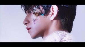 MV SEVENTEEN - 舞い落ちる花びら (Fallin' Flower)