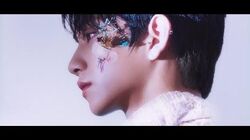 Fallin' Flower | Seventeen Wiki | Fandom