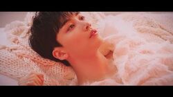 Fallin Flower Song Seventeen Wiki Fandom