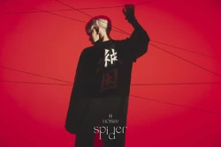 Spider | Seventeen Wiki | Fandom