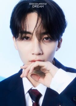 SEVENTEEN DREAM コンプ ジョンハン SEVENTEEN dream ジョンハン コンプ 特典