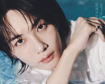 【特別訳あり特価】 Jeonghan Fandom | Wiki Seventeen | K-POP・アジア