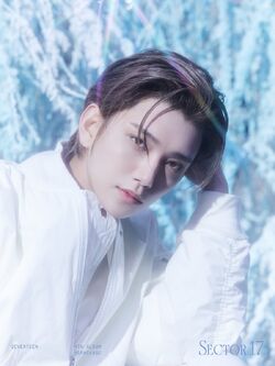 中古コレクションカード(男性) SEVENTEEN/JOSHUA(ジョシュア