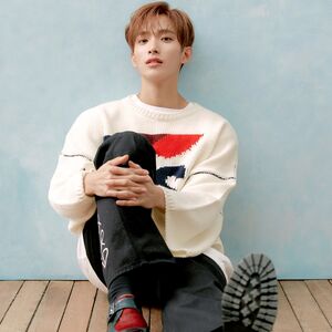 Fallin Flower Gallery Seventeen Wiki Fandom