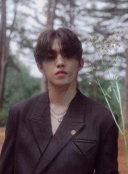SEVENTEEN social club 写真集 SEVENTEEN PHOTOBOOK 「SOCIAL CLUB : CARAT」【グッズ】【+DVD