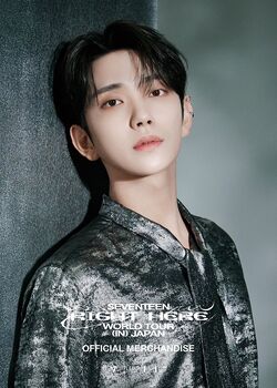 堅実な究極の seventeen セブチ RIGHT HERE ラバーバンド ジョシュア アイドル