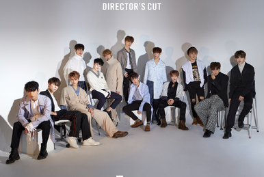 We Make You | Seventeen Wiki | Fandom
