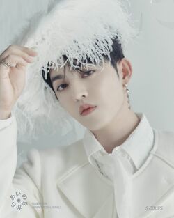 Seventeen ウォヌ Teenage Poweroflove YMMD Seventeen Power of Love (2022) - IMDb