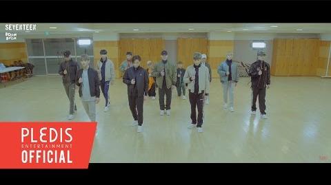 -Choreography Video- Seventeen '붐붐(BOOMBOOM)' Rearview Ver.