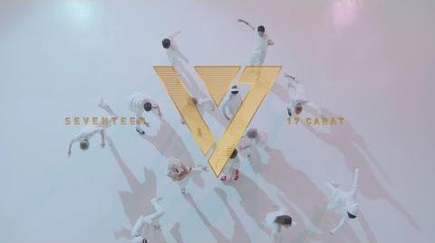 17 Carat | Seventeen Wiki | Fandom