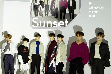 We Make You | Seventeen Wiki | Fandom