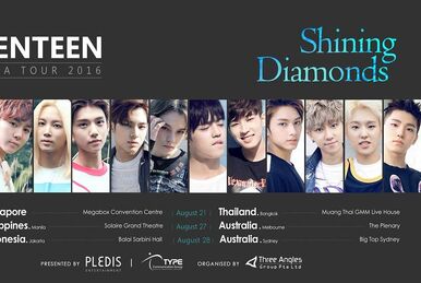 Seventeen 1st World Tour 'DIAMOND EDGE' | Seventeen Wiki | Fandom
