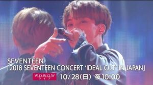 DIGEST WOWOW 「2018 SEVENTEEN CONCERT 'IDEAL CUT' IN JAPAN」