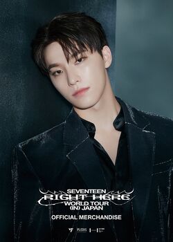 SEVENTEEN 'RIGHT HERE' WORLD TOUR/Gallery | Seventeen Wiki