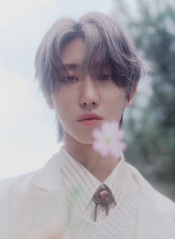 アイドル SEVENTEEN SOCIAL CLUB : CARAT s-l400.jpg