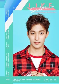 LIKE SEVENTEEN 'SHINING DIAMOND' Concert | Seventeen Wiki