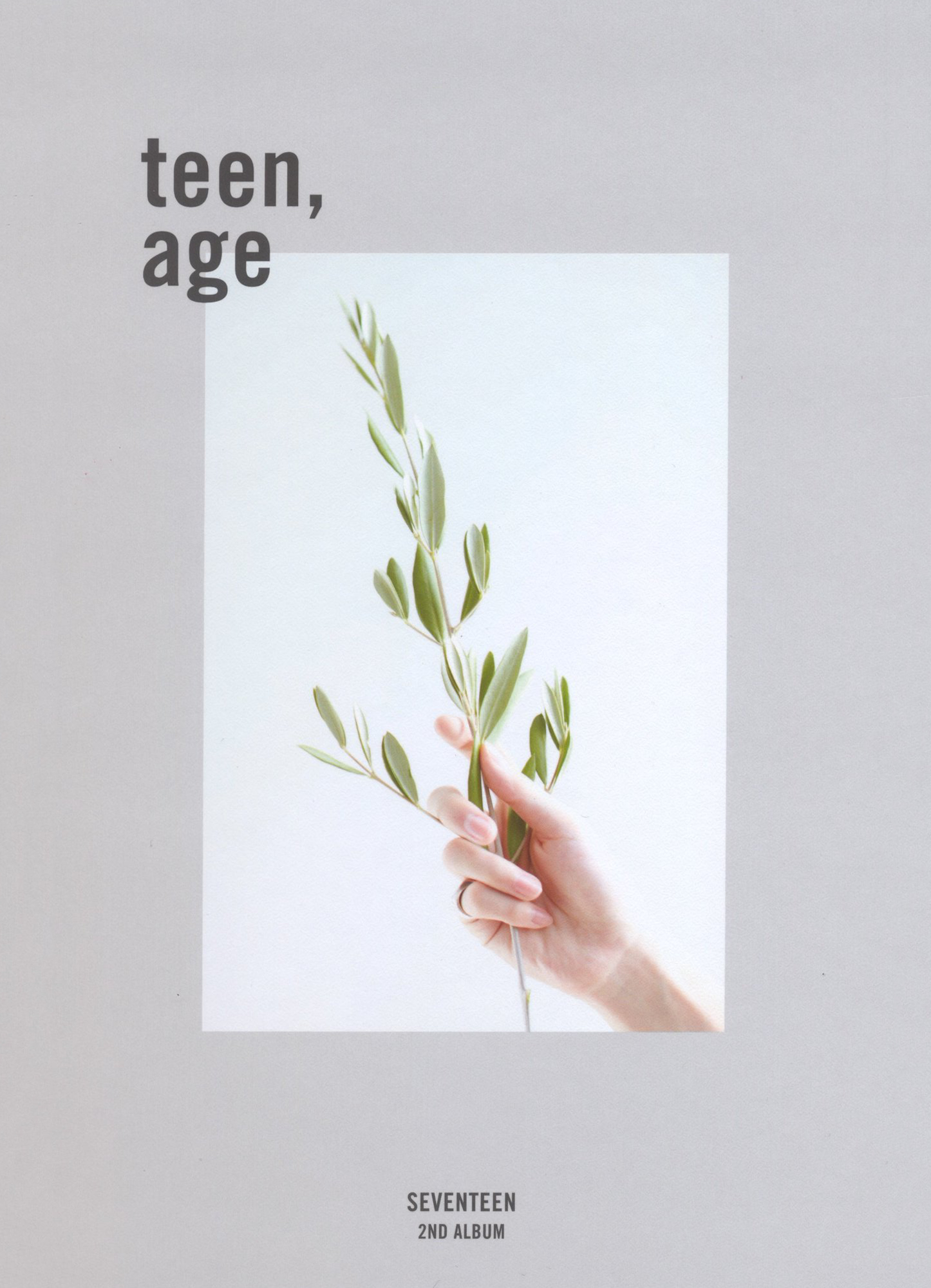 Teen, Age | Seventeen Wiki | Fandom
