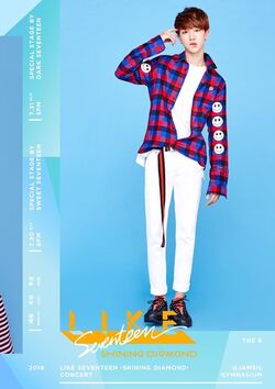 2016 'LIKE SEVENTEEN -Shining Diamond CONCERT' DVD