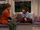 Auggie and Farkle/Gallery