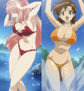 Miharu's swimsuit (Left) and Kirie's swimsuit (Right)