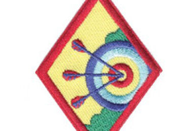 I love the flying carpet  Girl scout badges, Girl scout patches