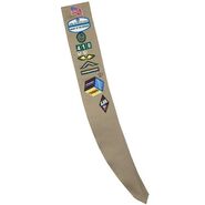 The Girl Scout Cadette Sash