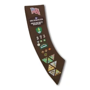 The Girl Scout Brownie Sash