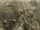 Timeline: Girl Scouts in History