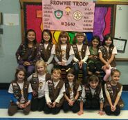 Troop 3647 in 2012