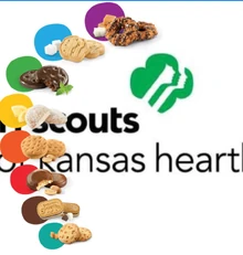 30726165 1070246379782305 4127643287941542140 n